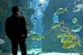 Mann vor einem Aquarium
