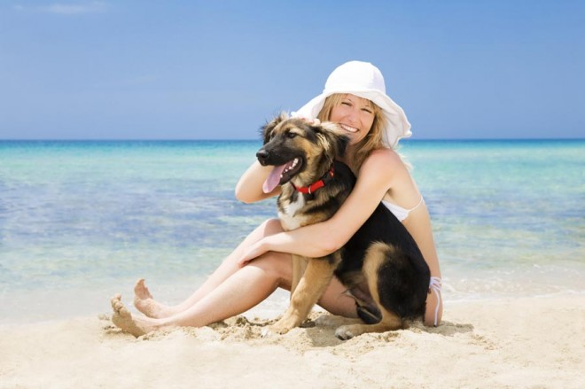 Urlaub mit Hund › TierklinikenNet