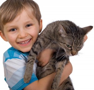 ein Junge mit einer Katze auf dem Arm